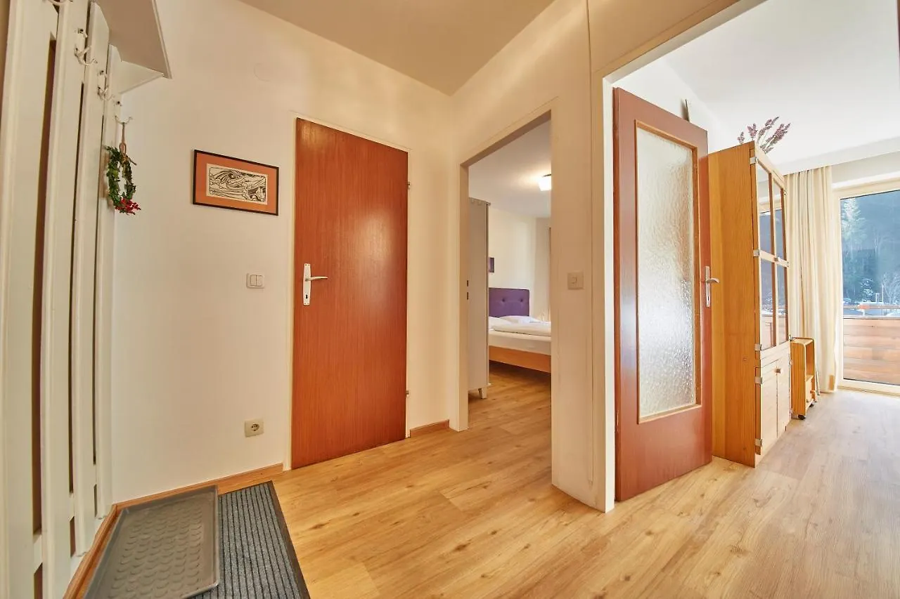Appartement Delight Saalbach-Hinterglemm 0*,